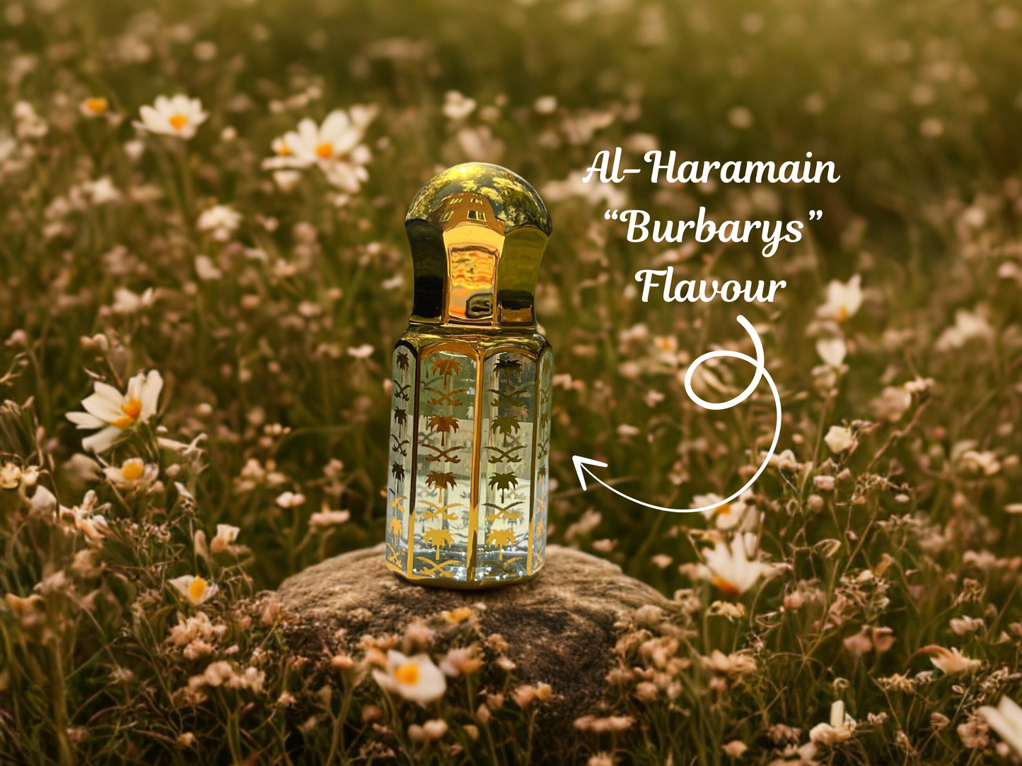 Travel Size Perfume Oil, Unisex Essential Oils, Roll-On Scent, Natural Fragrance, Long-Lasting Perfume,Gift For Him